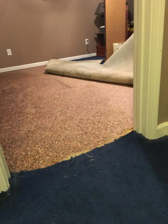 Carpet pad removal revealing water damage during Drying & Dehumidification in Lenox